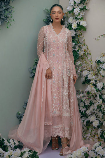 PINK AURA - Ansab Jahangir