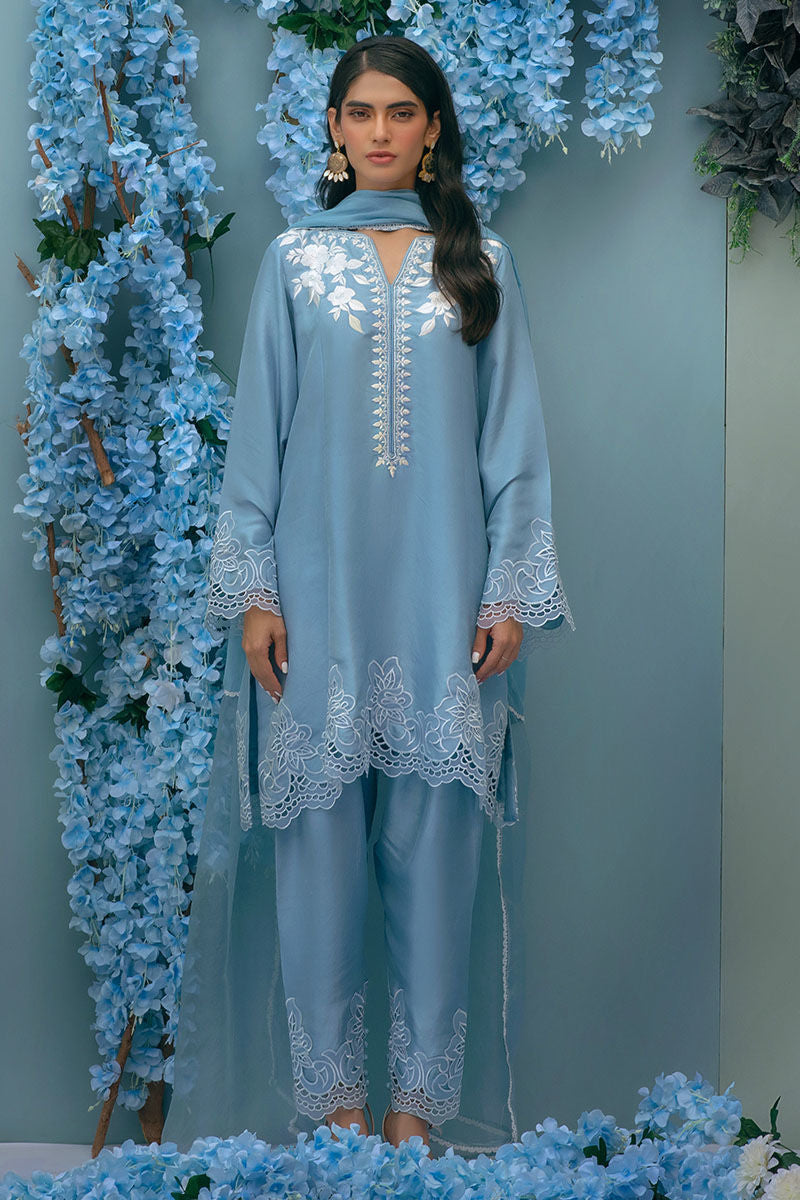 PERIWINKLE DREAM - Ansab Jahangir