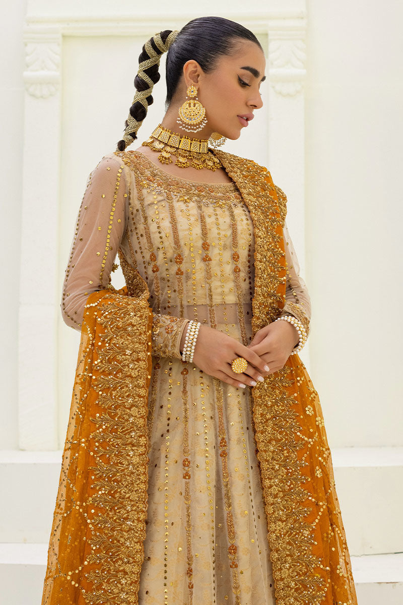 TARA - Ansab Jahangir