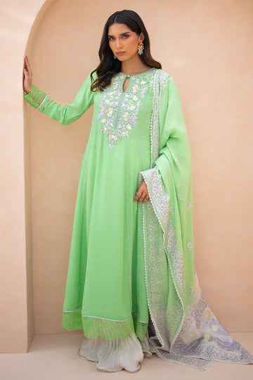 VERDE | Ansab Jahangir