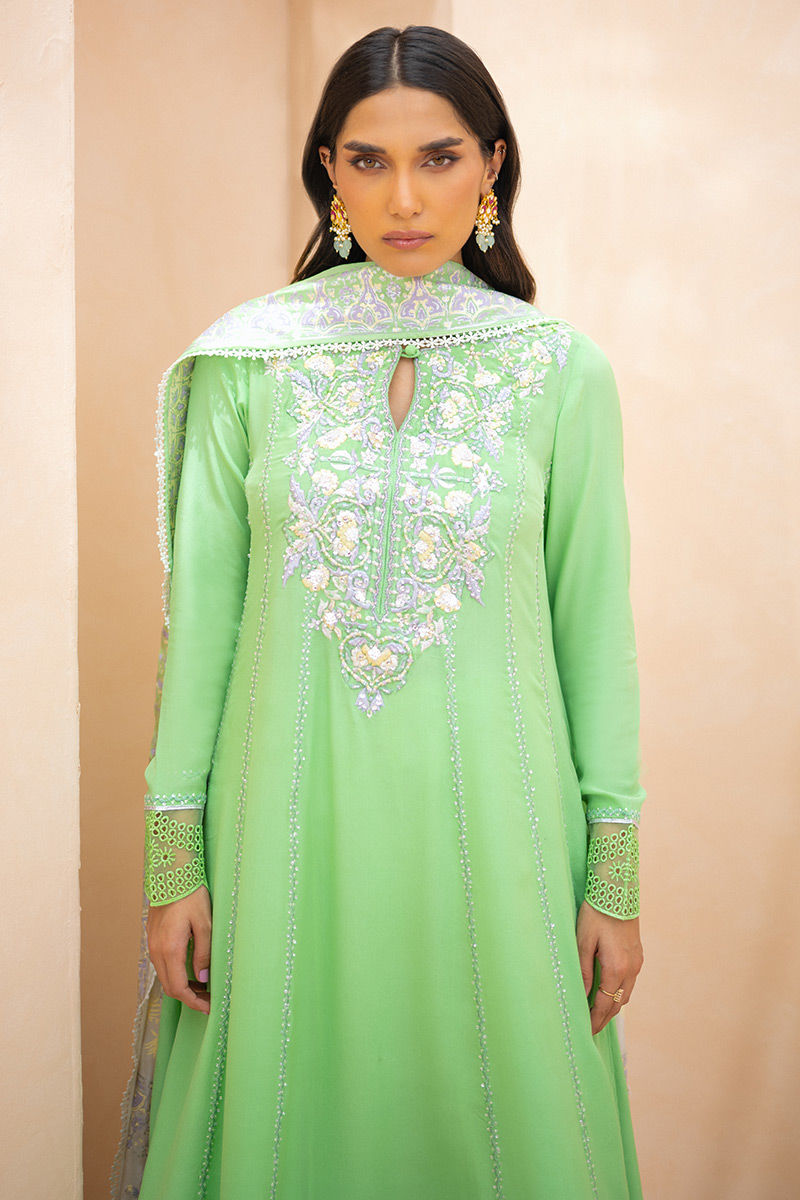 VERDE | Ansab Jahangir