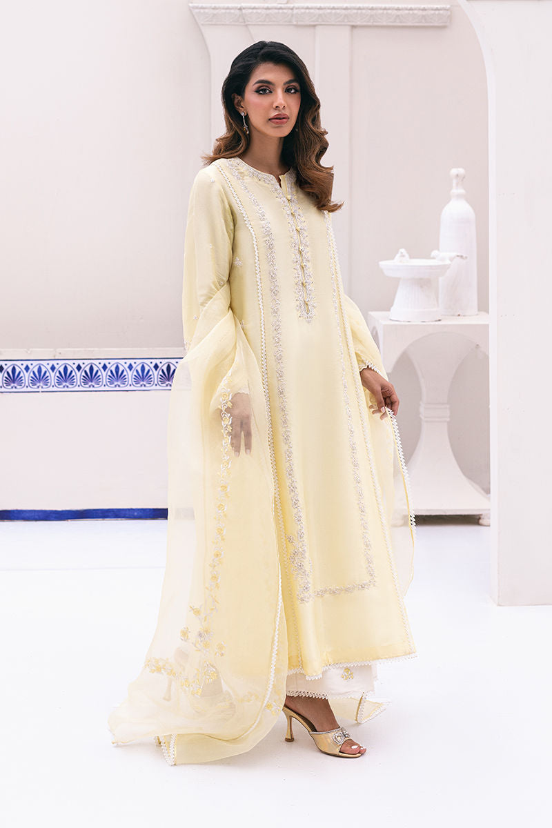 Organza Oasis - Luxe Pret Ansab Jahangir