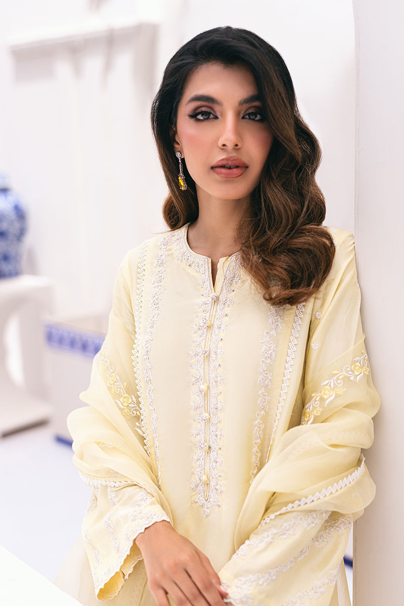 Organza Oasis - Luxe Pret Ansab Jahangir