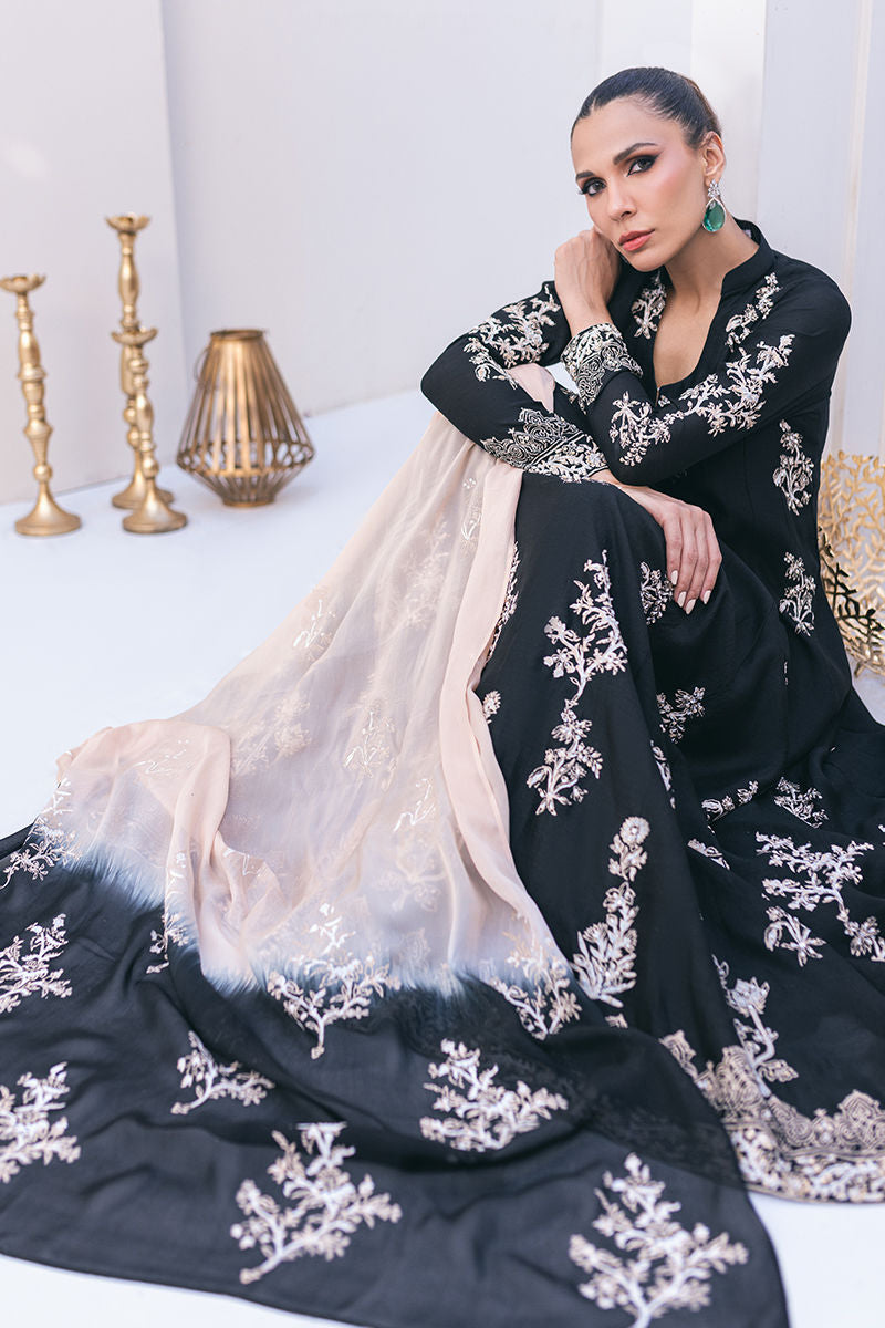 Arden-Eid-Festive-24-Vol-II By Ansab Jahangir