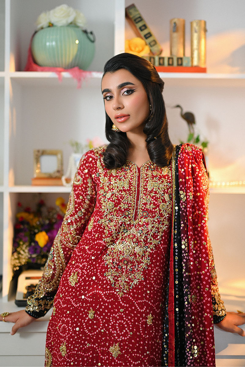 Ayaana - Malika Festive Formals 24 by Ansab Jahangir