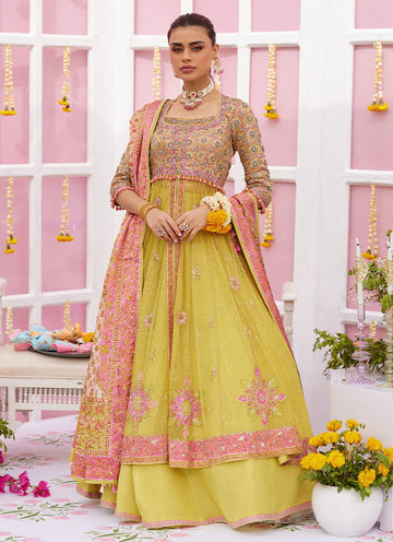 Nura Kiwi Kalidaar - Amaltas 25 by Farah Talib Aziz