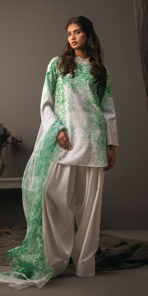 Vivid Elegance - Beyond Basic by Erum Khan