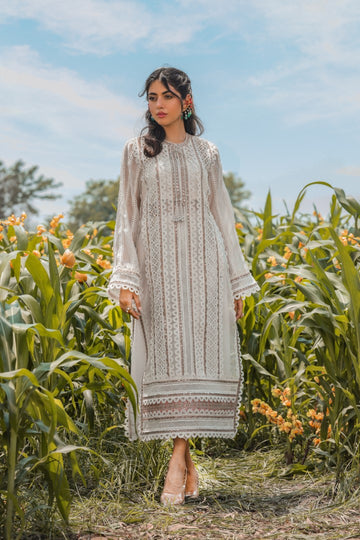 IDYLLIC GRASSLAND - Summer Bloom by Zainab Salman