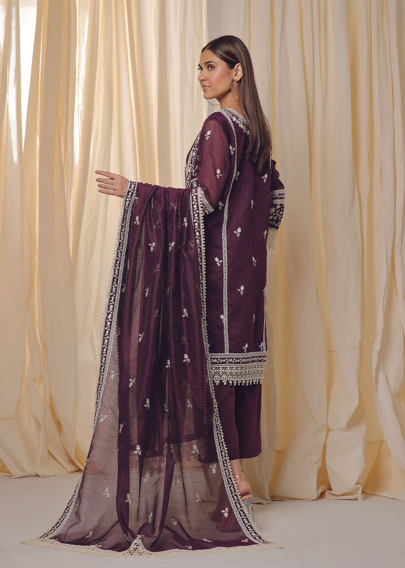 Amritsar Purple - Jashan by Rizwan Beyg