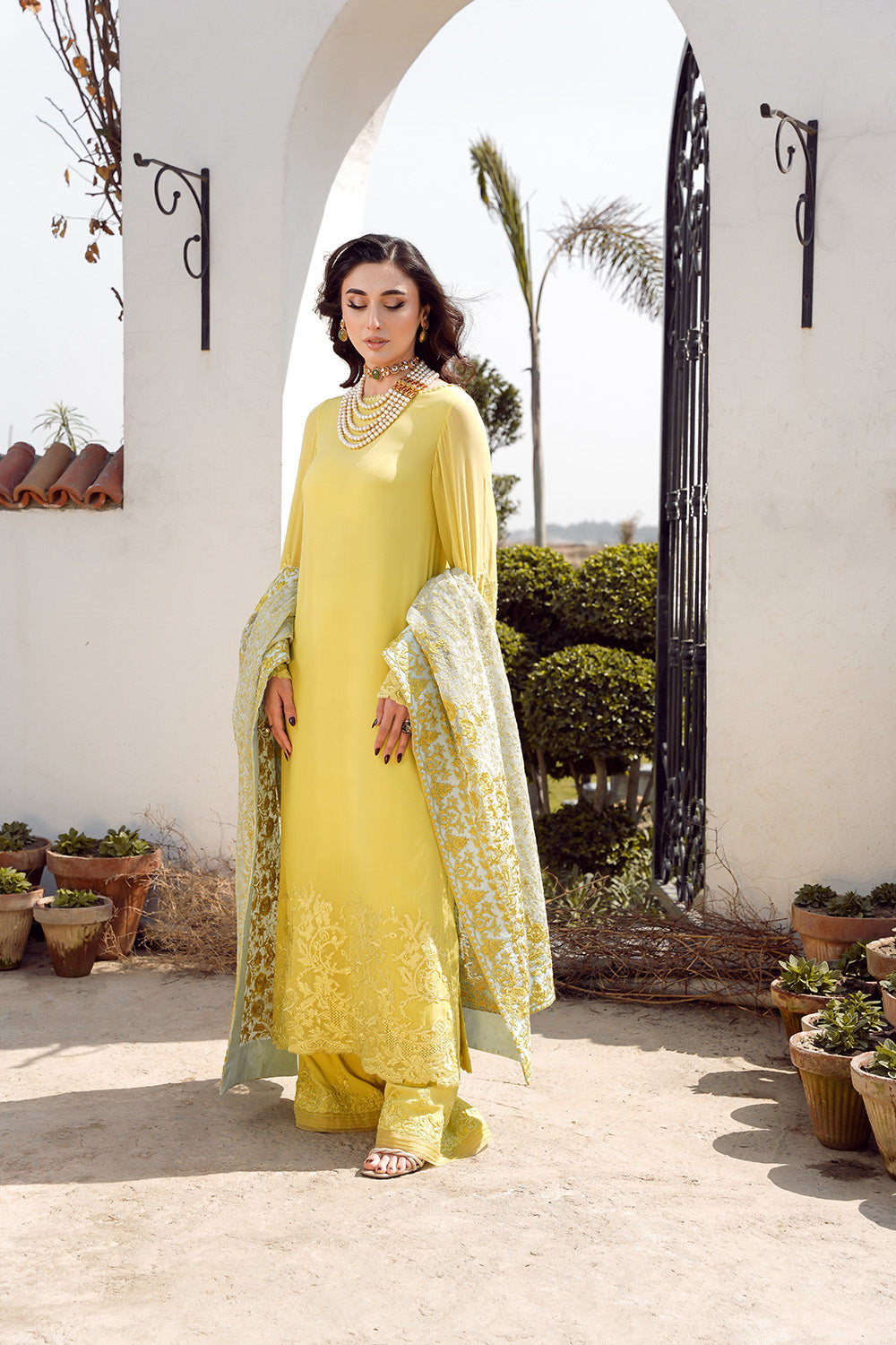 EVARA (3PC) -VERVE SS 24 | NILOFER SHAHID