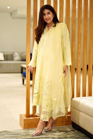 LEMON FUSION - Ansab Jahangir